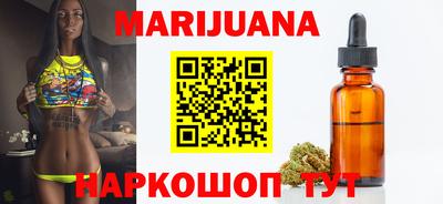 гашик Сланцы