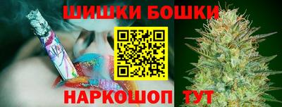 гашик Сланцы