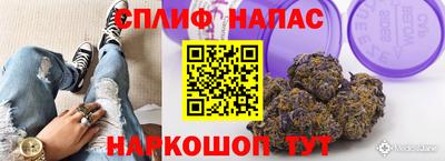 мяу мяу мука Славянск-на-Кубани