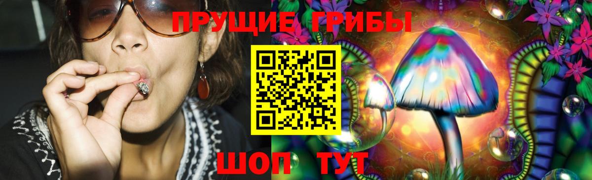 Галлюциногенные грибы мицелий Обь